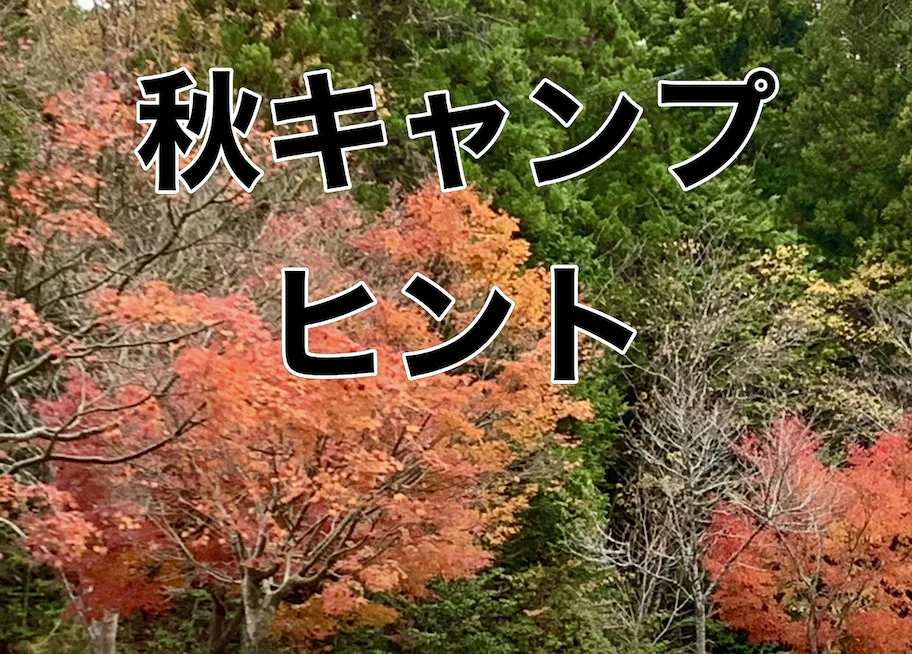 涼しい秋のキャンプ 夏のキャンプ 涼しいキャンプ 子ども体験 キャンプファイヤー 夜のキャンプファイヤー アウトドアライフキャンプ場　キャンプ　南丹市キャンプ　南丹キャンプ　日吉キャンプ　日吉ダームキャンプ　日吉ダム温泉　京都キャンプ　薪割り アウトドア体験 子供楽し　子供スタッフ　こどもスタッフ 子ども体験 川遊び ワークショップ