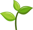 🌱